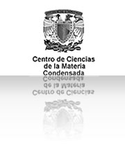 Nanoscience and Technology Center (CNyN)