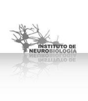 Institute of Neurobiology (INB)